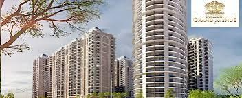 Samridhi Grand Avenue